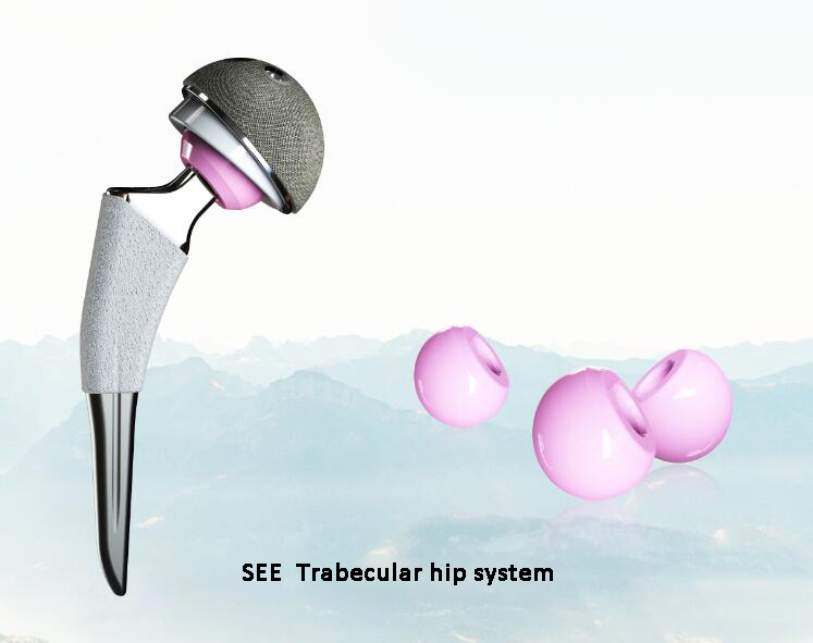 Take you closer to SEE trabecular hip system