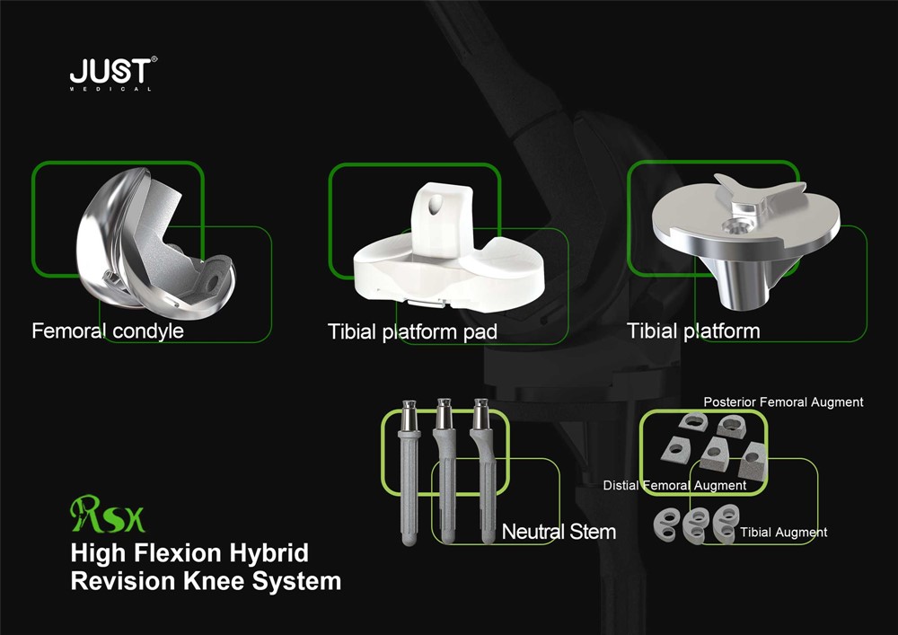 Rsk High Flexion Hybrid Total Knee System