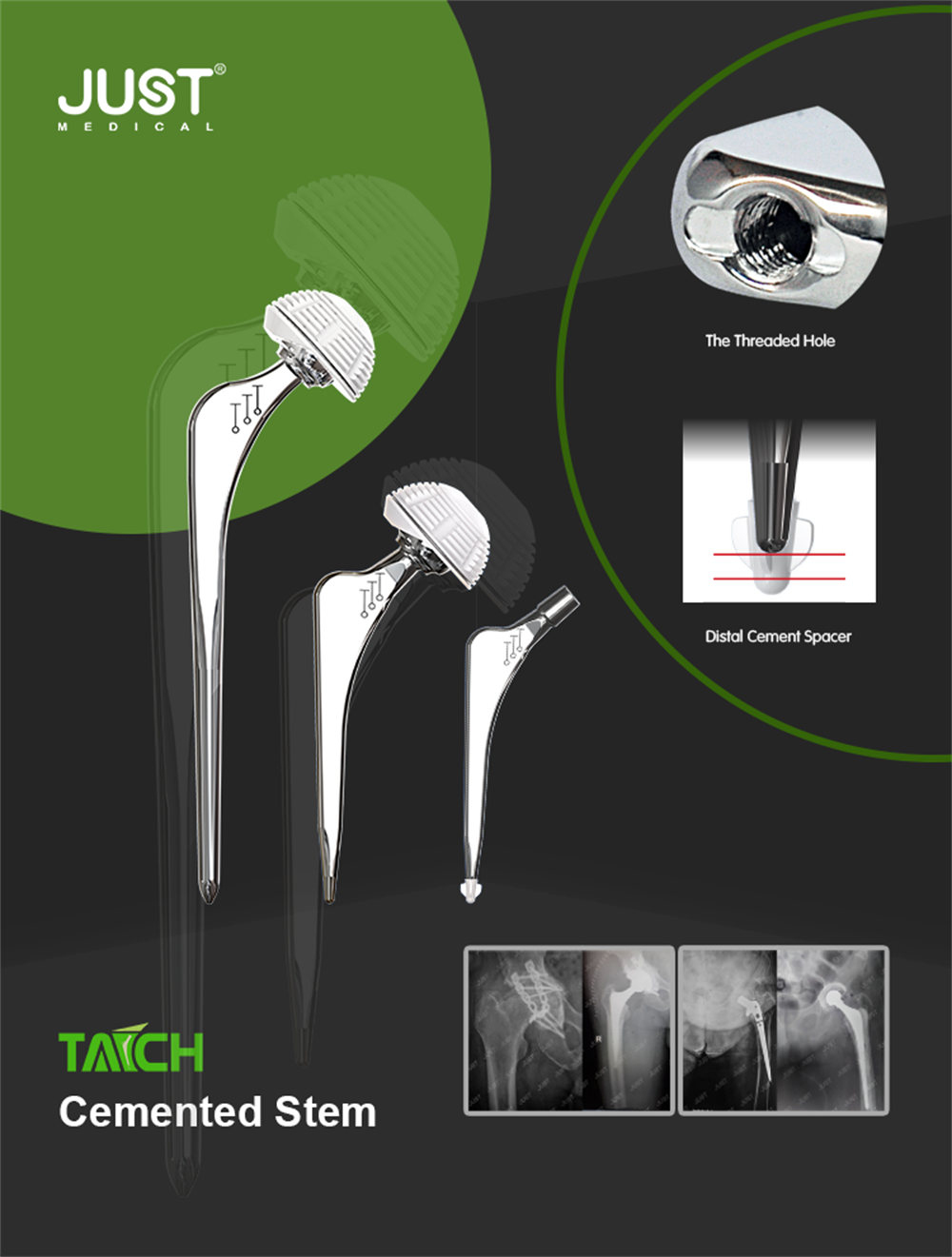 Taich Hip Joint System