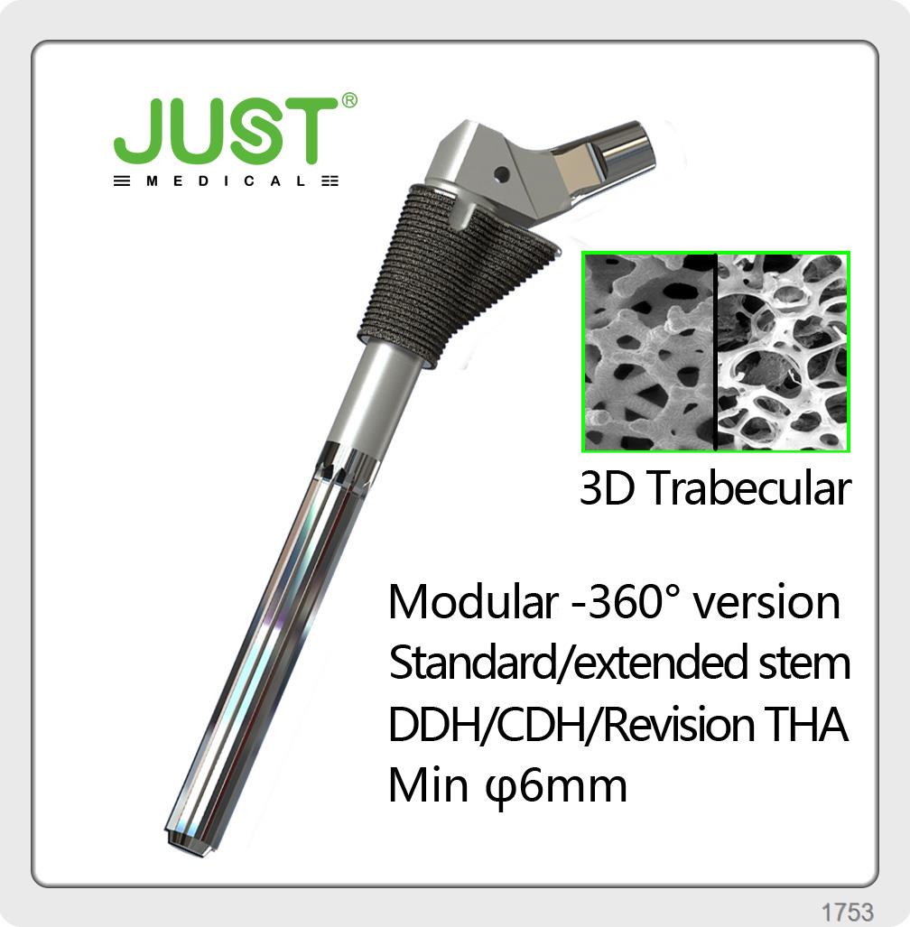 3D SEE Trabecular Modular femoral stem 